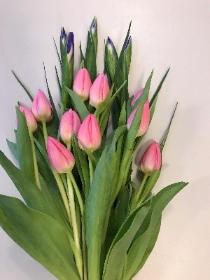 Tulips and iris