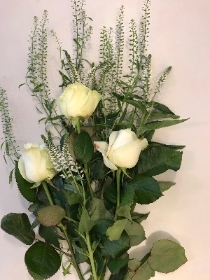 White roses and foliage