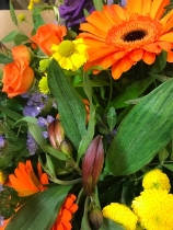Florist’s choice vibrant ( lily free ) .