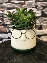 “David” pot with glasses